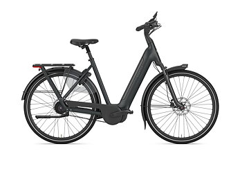 Gazelle Arroyo C5+ Elite Dam 2027