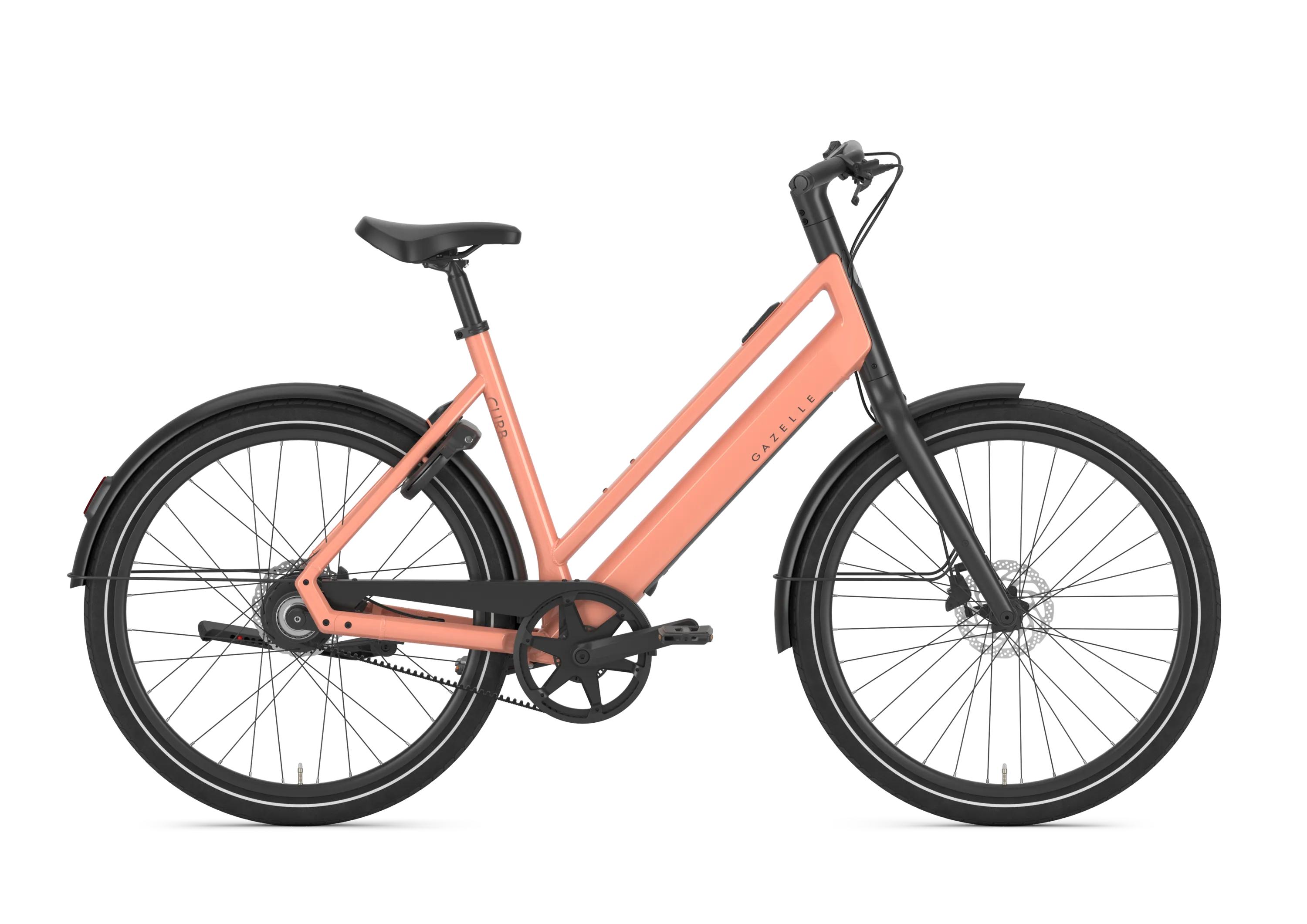 Gazelle Curb C1 Dam 2027 - 3
