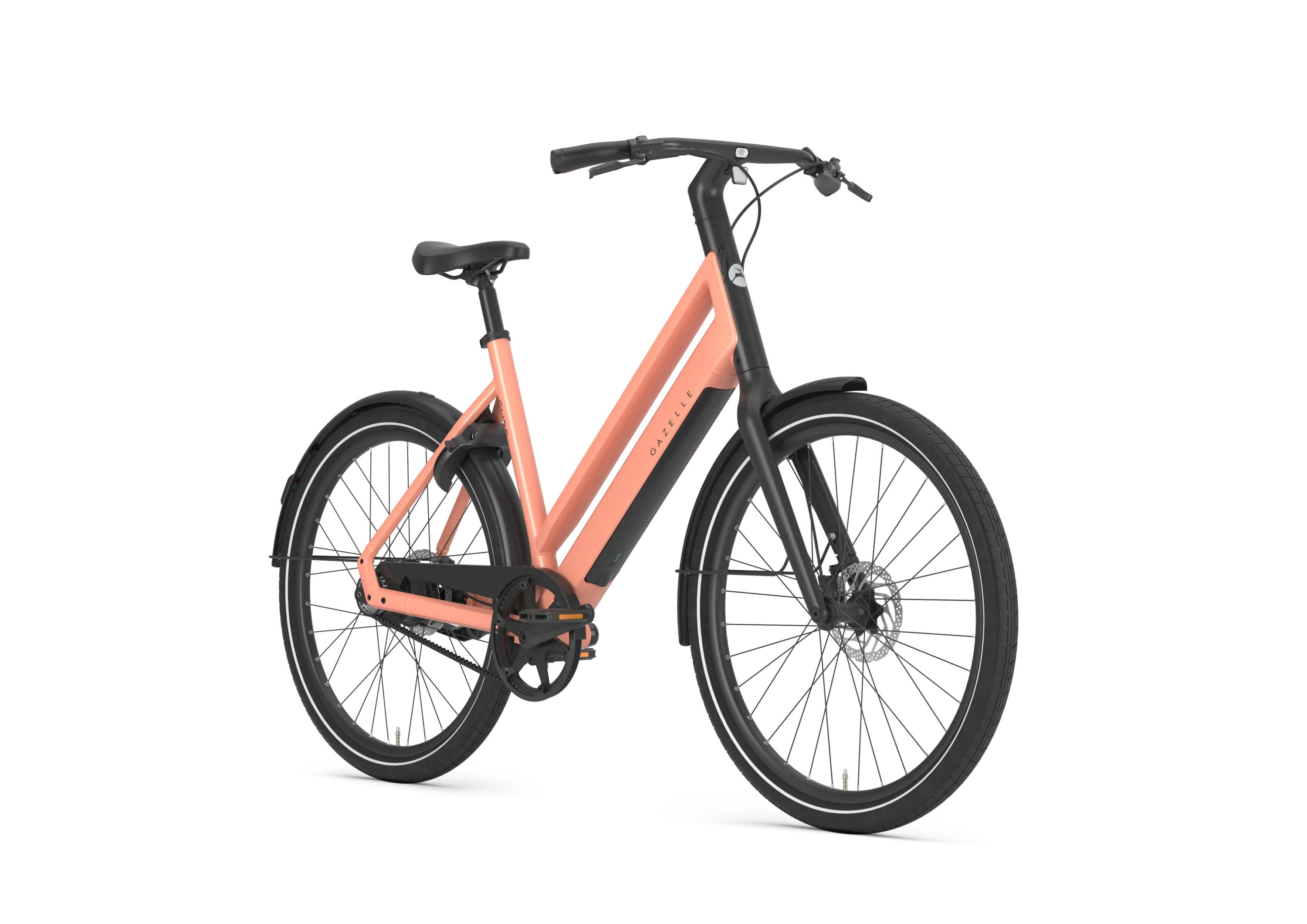 Gazelle Curb C1 Dam 2027 - 4