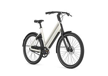 Gazelle Curb C1 Dam 2027