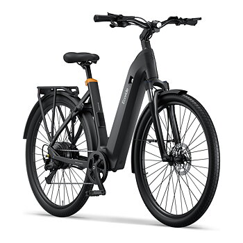 Ecoride Tripper 4, bakhjulsmotor, lågt insteg, Cues 9 Elcykel