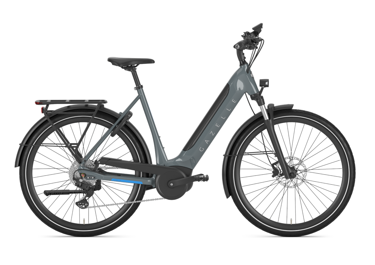 Gazelle Ultimate T10 Dam