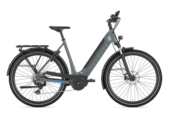 Gazelle Ultimate T10 Dam