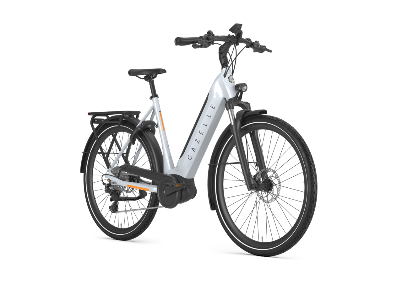 Gazelle Ultimate T10 Dam