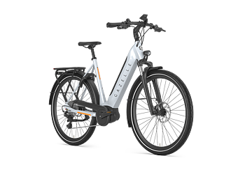 Gazelle Ultimate T10 Dam