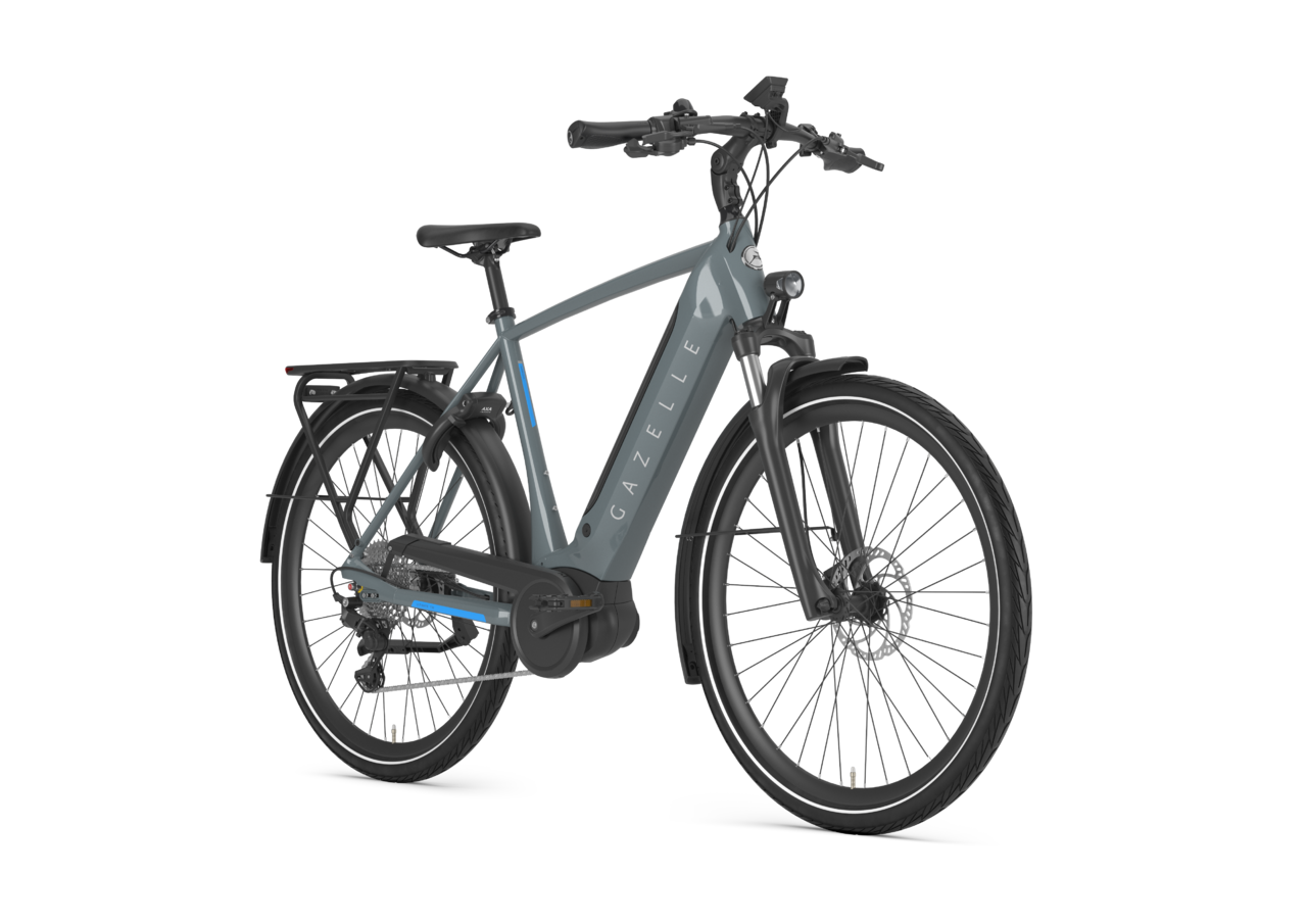 Gazelle Ultimate T10 Herr - 2