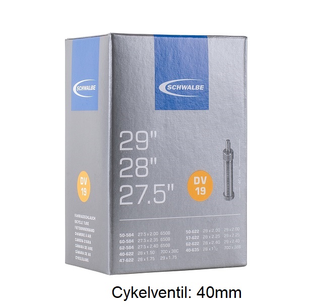 Schwalbe DV19 slang