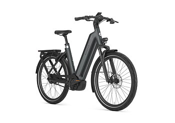 Gazelle Eclipse C380 Dam 2027