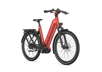 Gazelle Eclipse C380 Dam