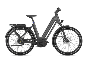 Gazelle Eclipse C380 Dam