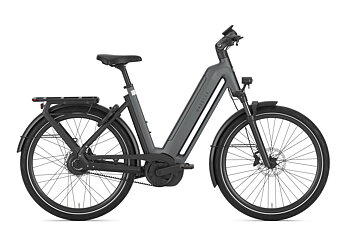 Gazelle Eclipse C380 Dam 2027