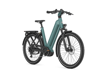 Gazelle Eclipse T11 Dam