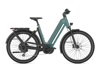 Gazelle Eclipse T11 Dam