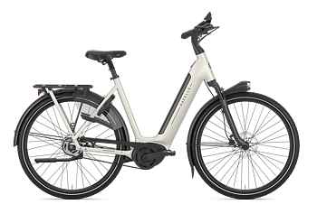 Gazelle Arroyo C5 HMB Elite Dam