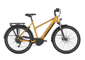 Gazelle Medeo T10 Unisex