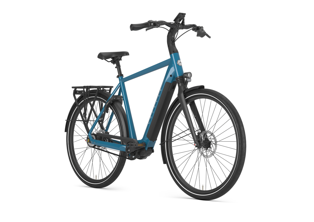 Gazelle Chamonix C5 Herr