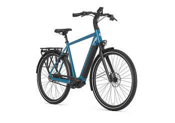 Gazelle Chamonix C5 Herr