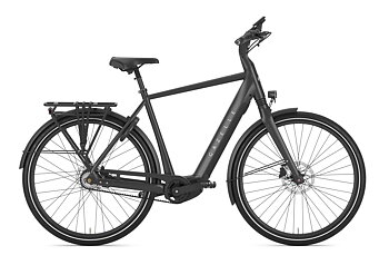 Gazelle Chamonix C5 Herr 2027