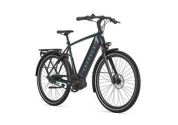 Gazelle Ultimate C8+ Herr