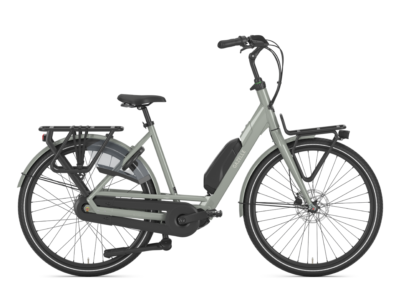Gazelle Bloom C310 Dam