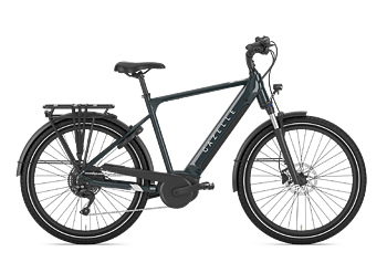 Gazelle Medeo T10 Herr