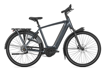 Gazelle Grenoble C5 Herr
