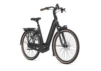 Gazelle Grenoble C8+ Dam