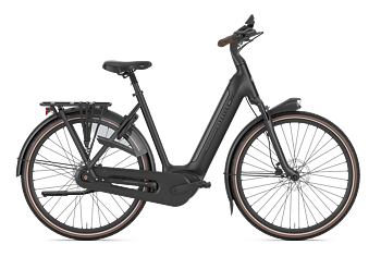 Gazelle Arroyo C8+ Elite Dam