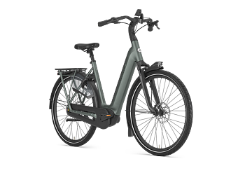 Gazelle Arroyo C8+ Elite Dam