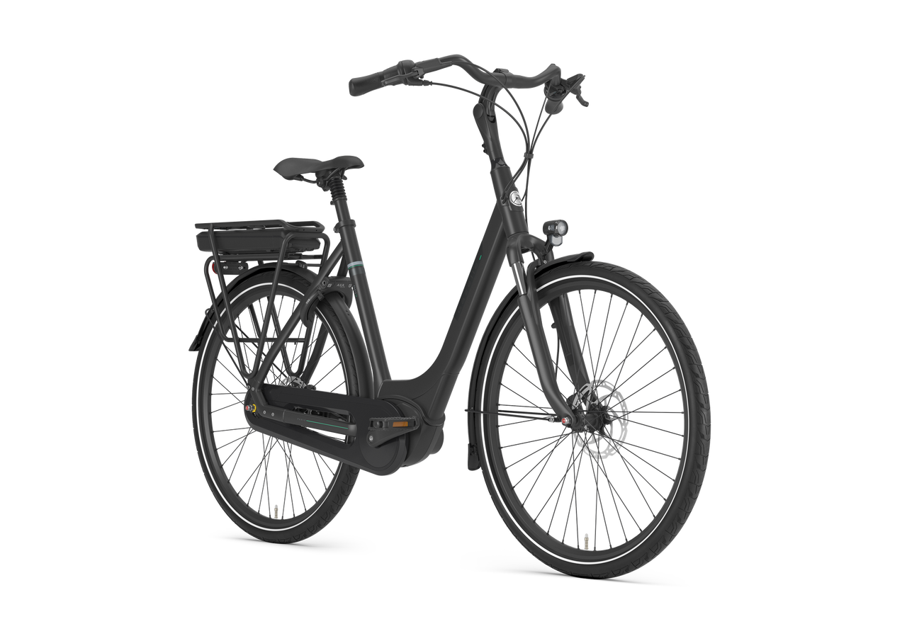 Gazelle Paris C8 Dam