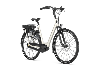 Gazelle Orange C8 Dam