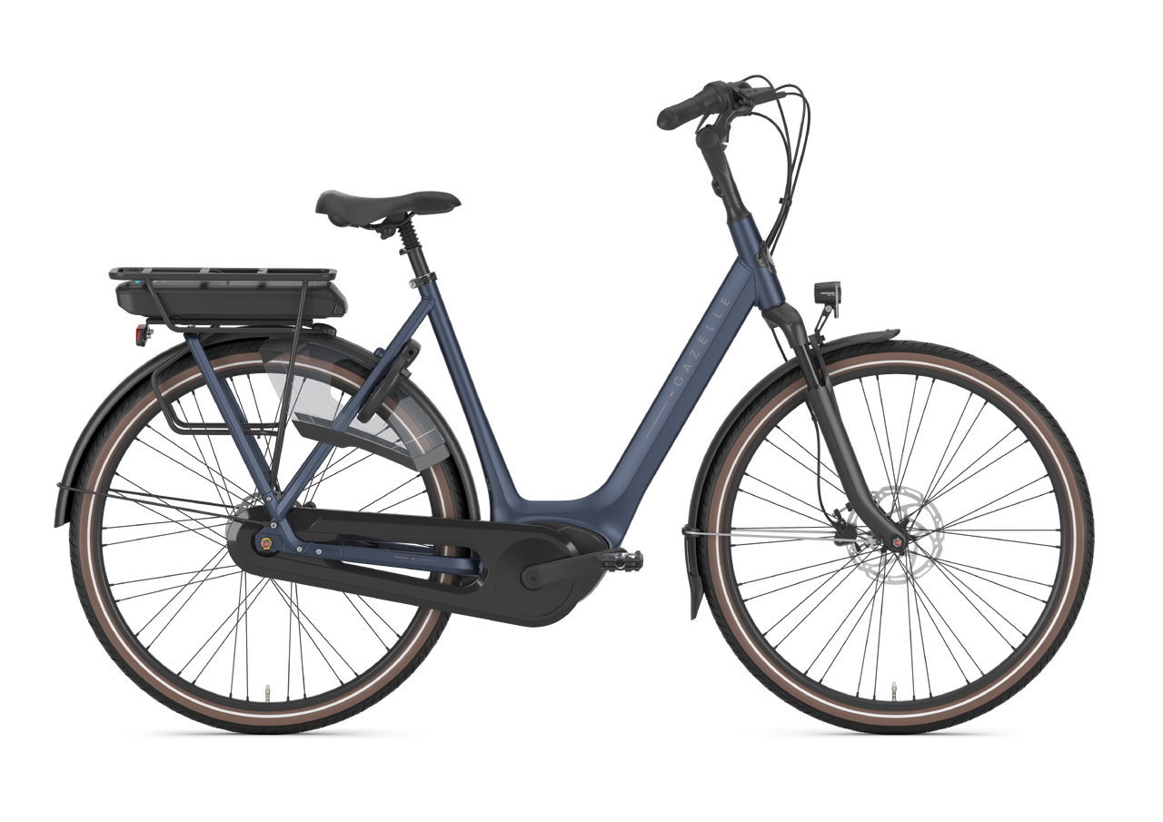 Gazelle Arroyo C8 Dam - 4