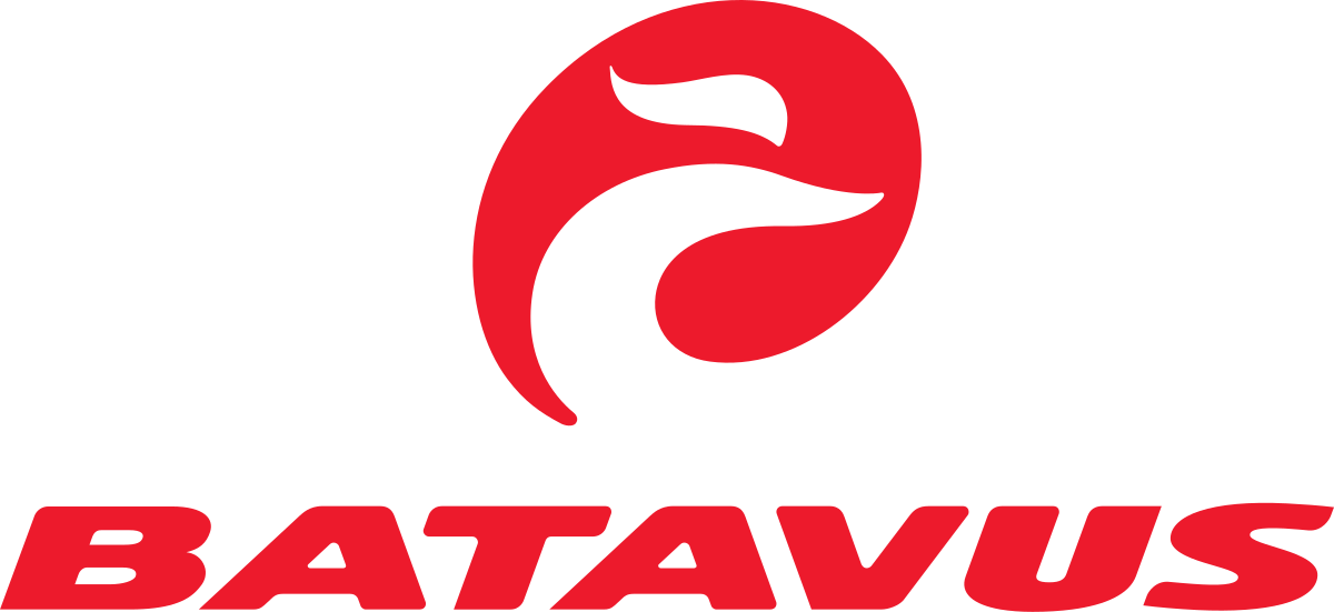 Elcykelservice på din Batavus i Stockholm