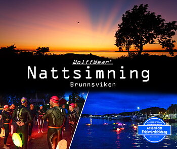 Night Swim in Brunnsviken  September 1, 2027