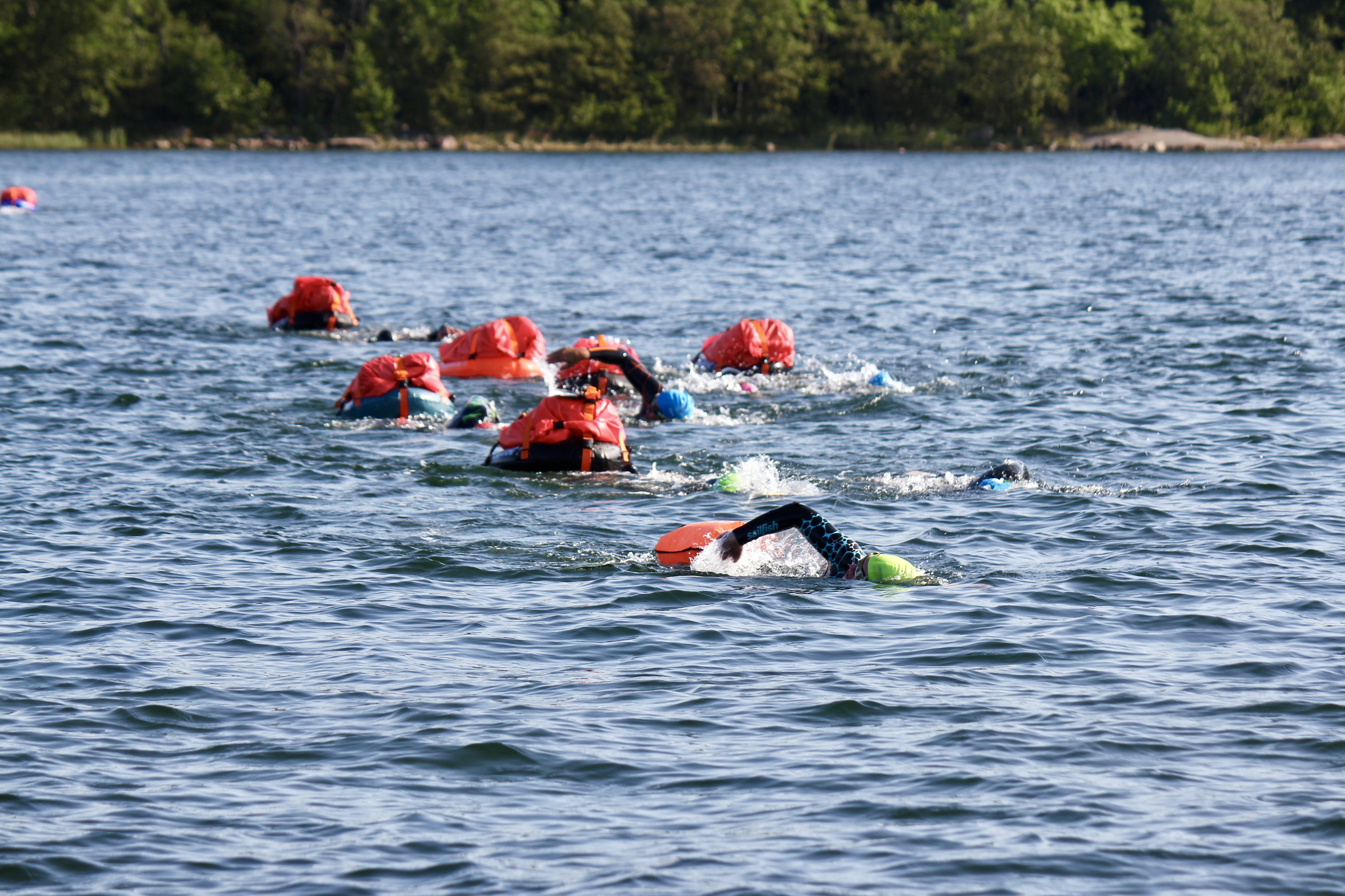 Swim & Hike  Gotland 17-19 Juli 2026 - 5