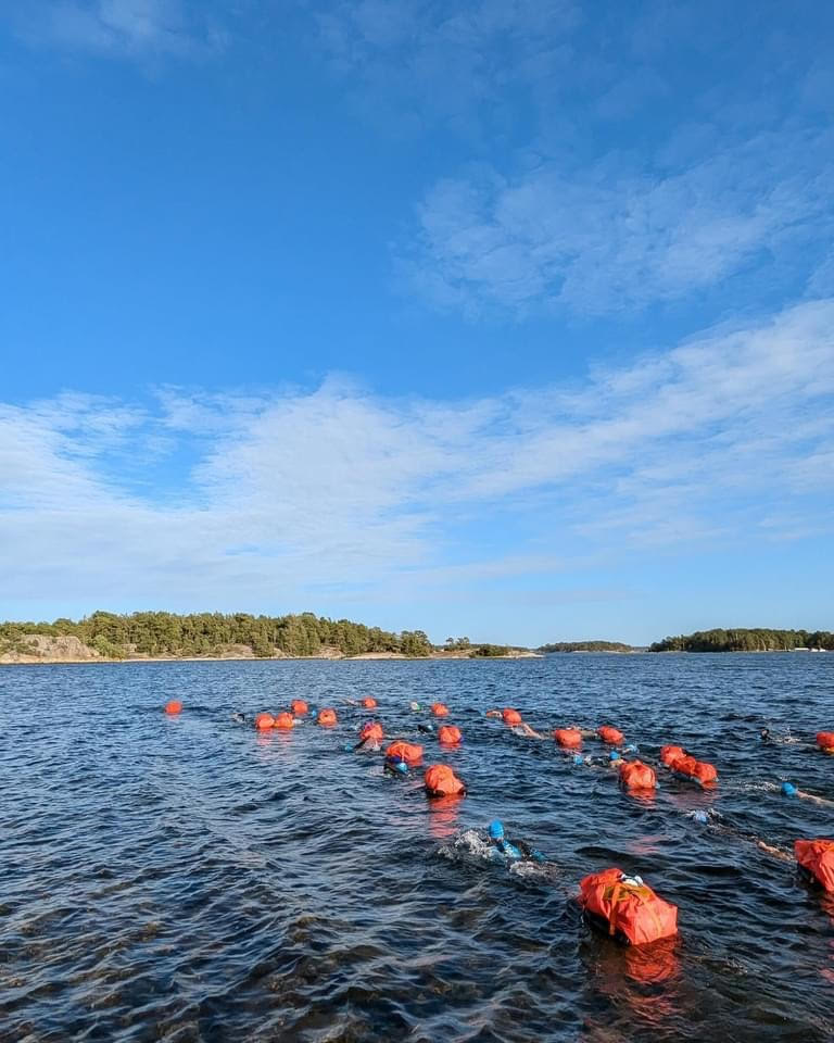 Swim & Hike  Gotland 17-19 Juli 2026 - 3