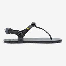 Luna Oso Flaco winged Sandals - 8