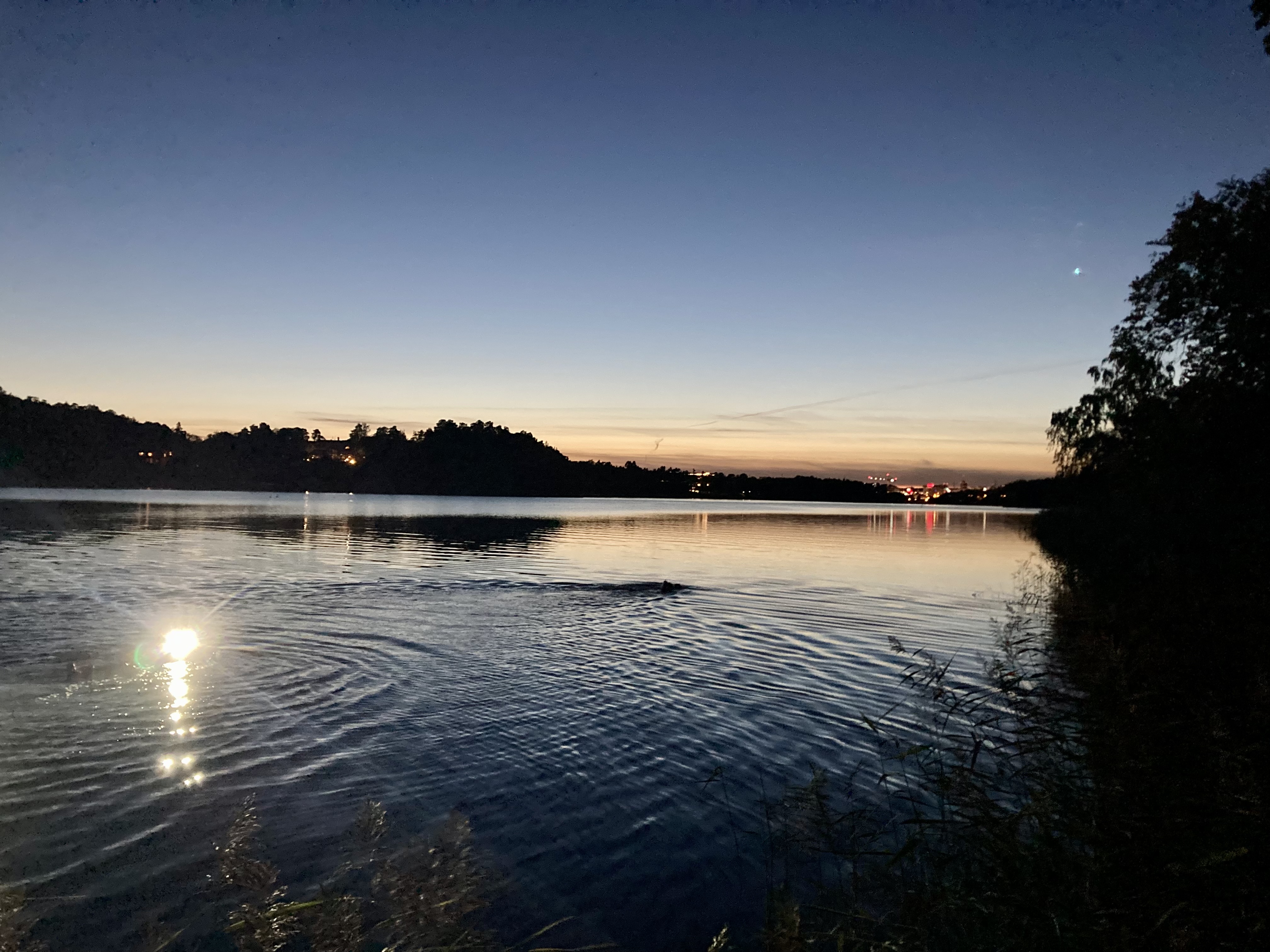 Night swimrun - Brunnsviken - 7