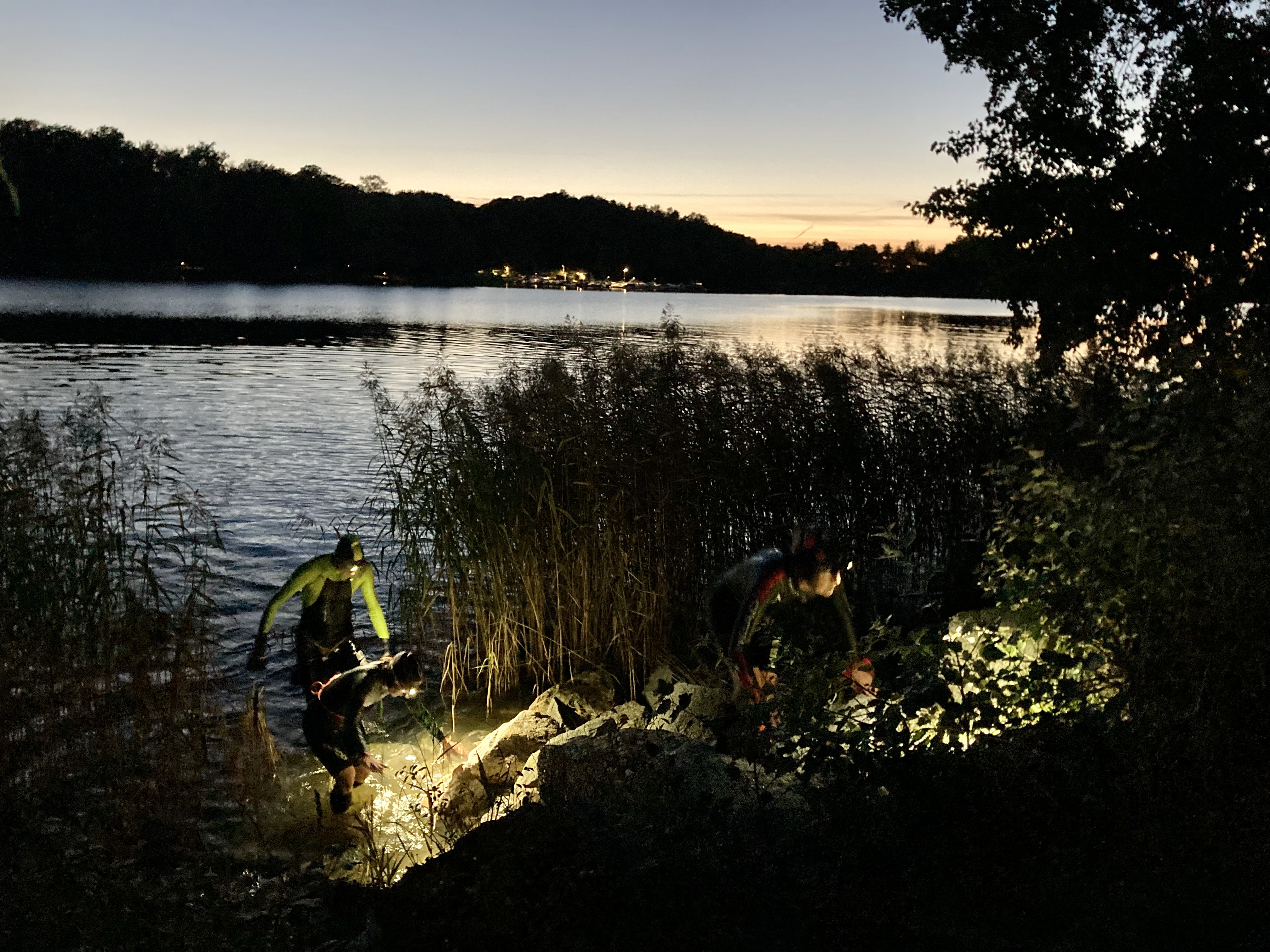 Night swimrun - Brunnsviken - 8