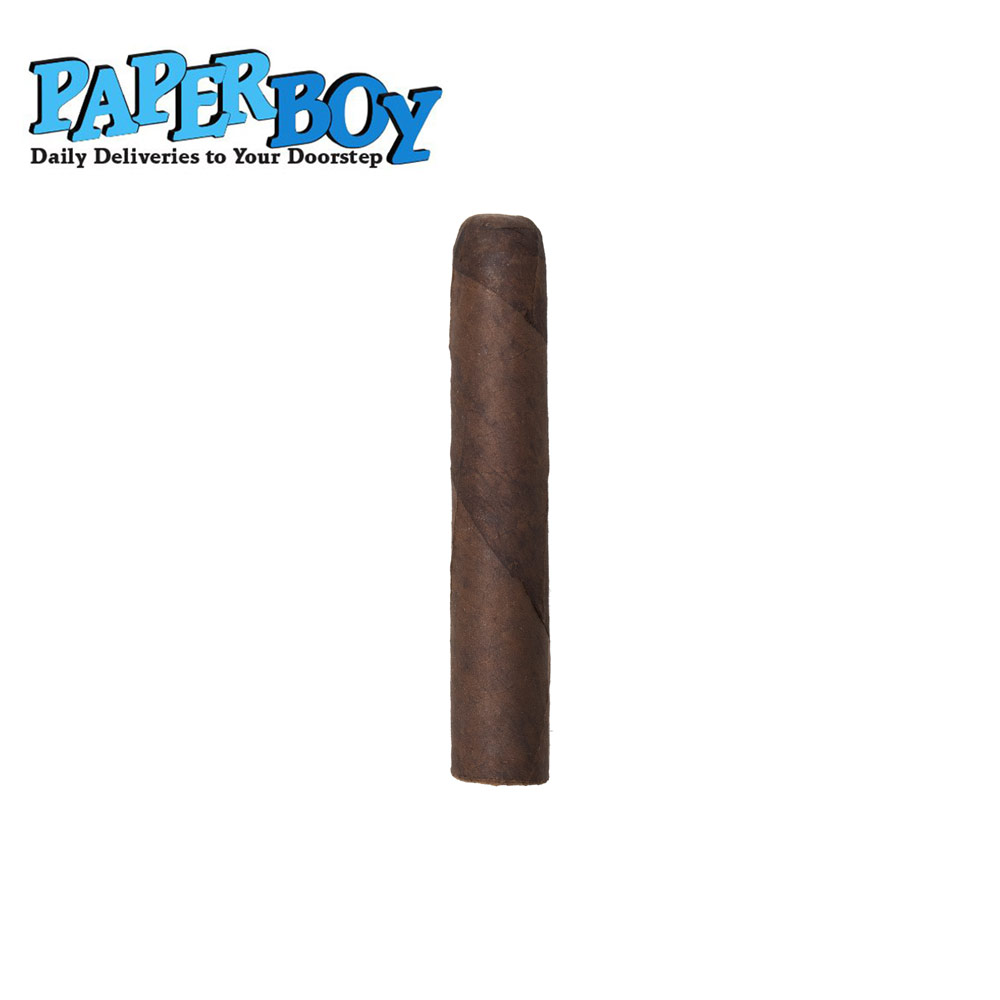 Paper Boy Maduro Petit Corona - 2