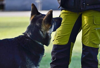 Grundkurs 1 start 21 maj