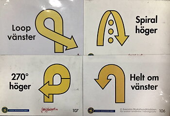 Tema banträning rallylydnad - svängar & flyt 27/5