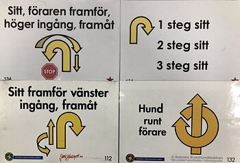 Tema banträning rallylydnad - front & ingångar 4/6