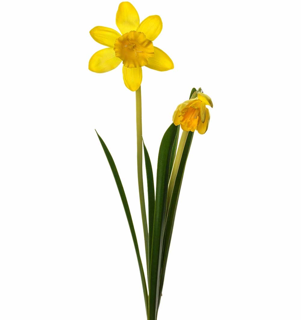 Påsklilja / Narciss Gul konstgjord 50cm
