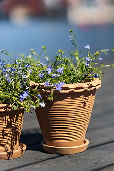 Kruka ALVARO Lergods Terrakotta STOR Ø21cm H:19cm