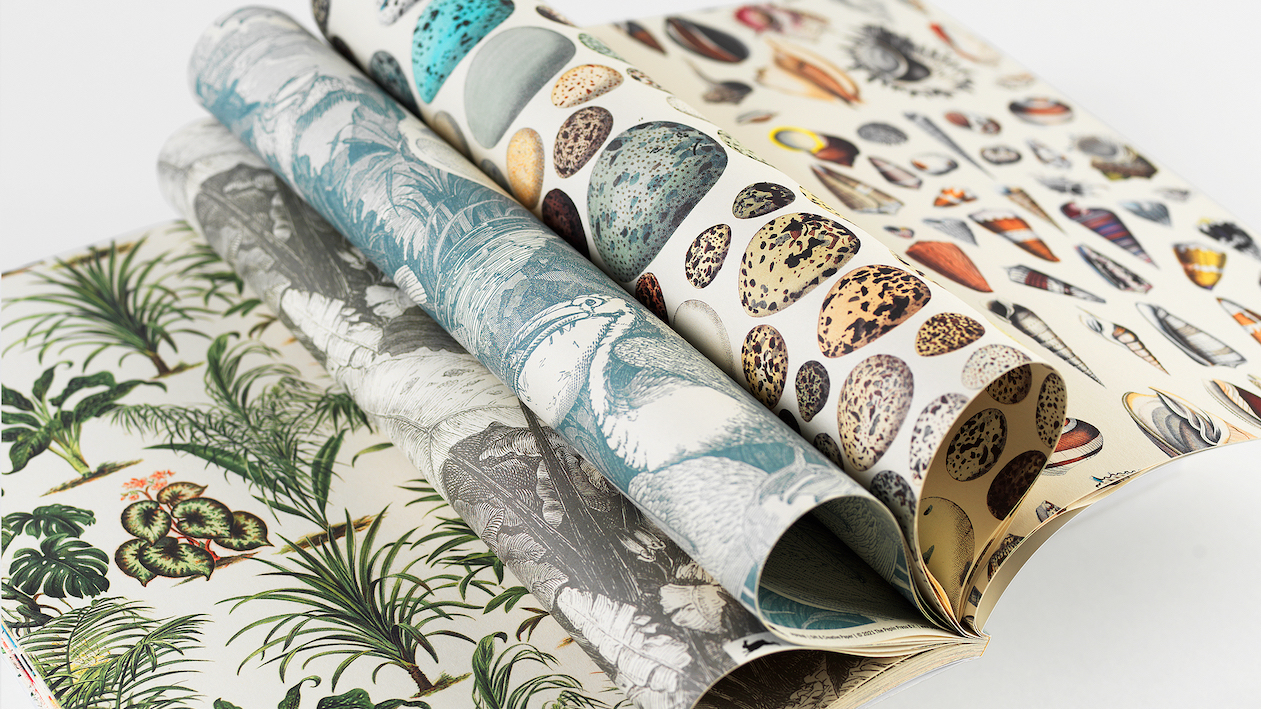 Bok med presentpapper – NATURAL HISTORY - 4