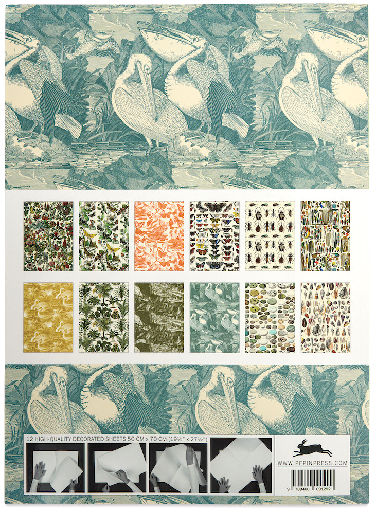 Bok med presentpapper – NATURAL HISTORY - 5