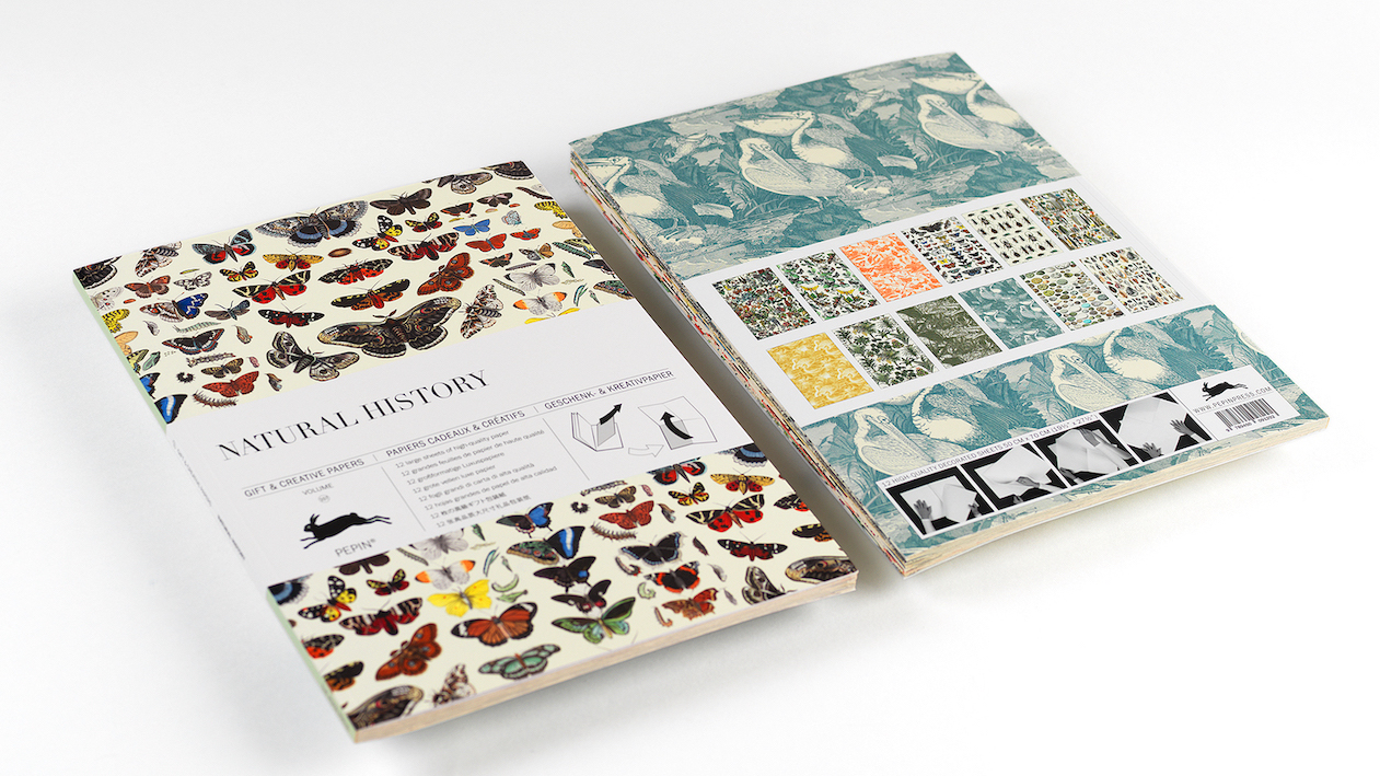 Bok med presentpapper – NATURAL HISTORY - 3