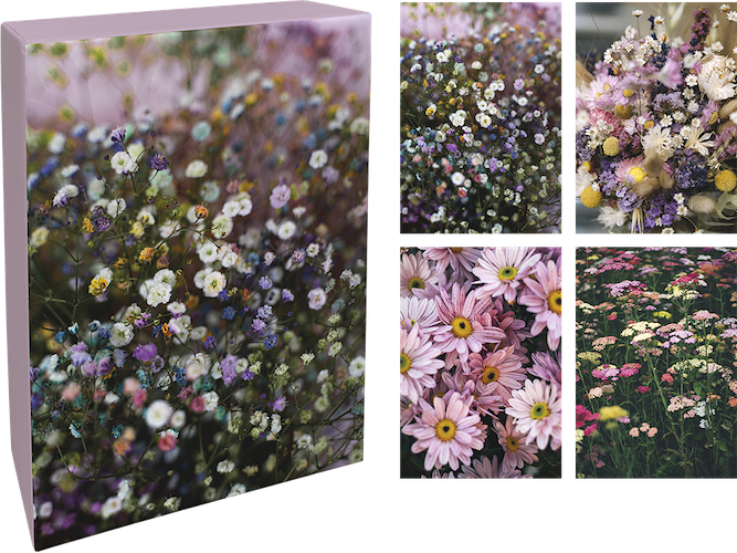 Dubbla kort med kuvert PAPERLY 20st i box – Small Beauties