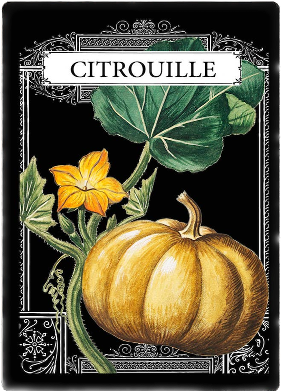 Metallskylt i vintagestil – Citrouille 20x25cm